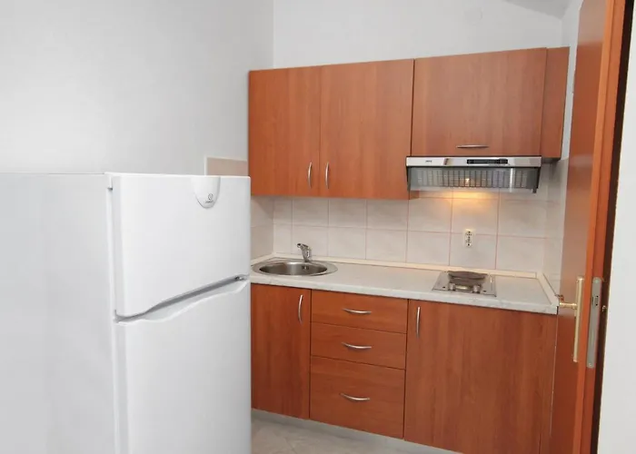 5458b Njivice
