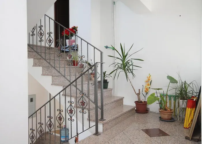5458b نجيفيش